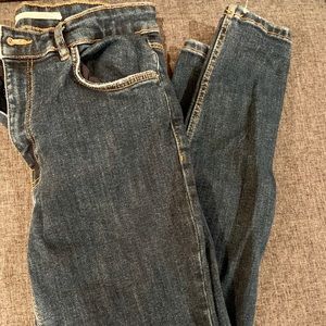 Zara Dark Denim Skinny Jean